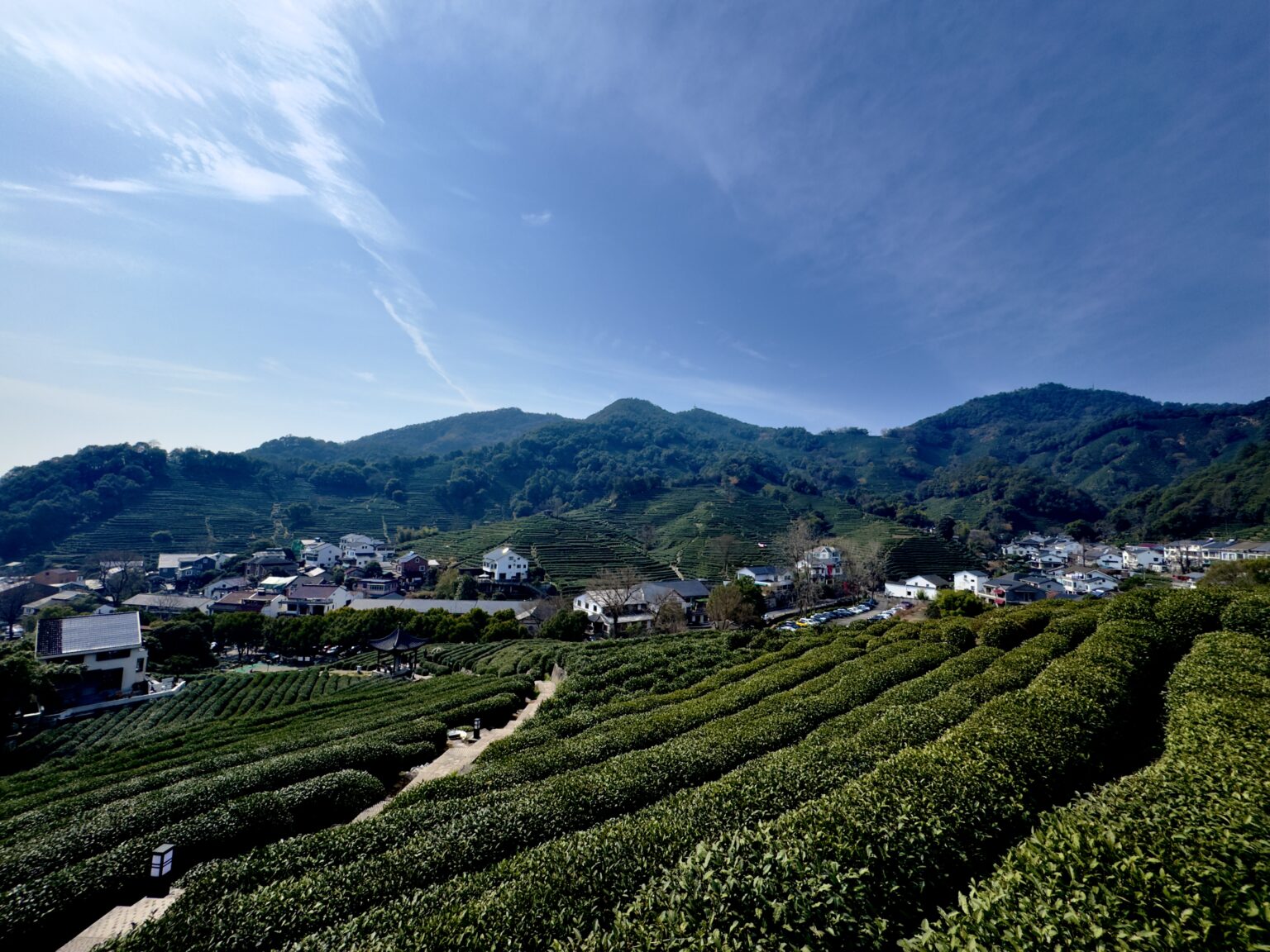 Longjing