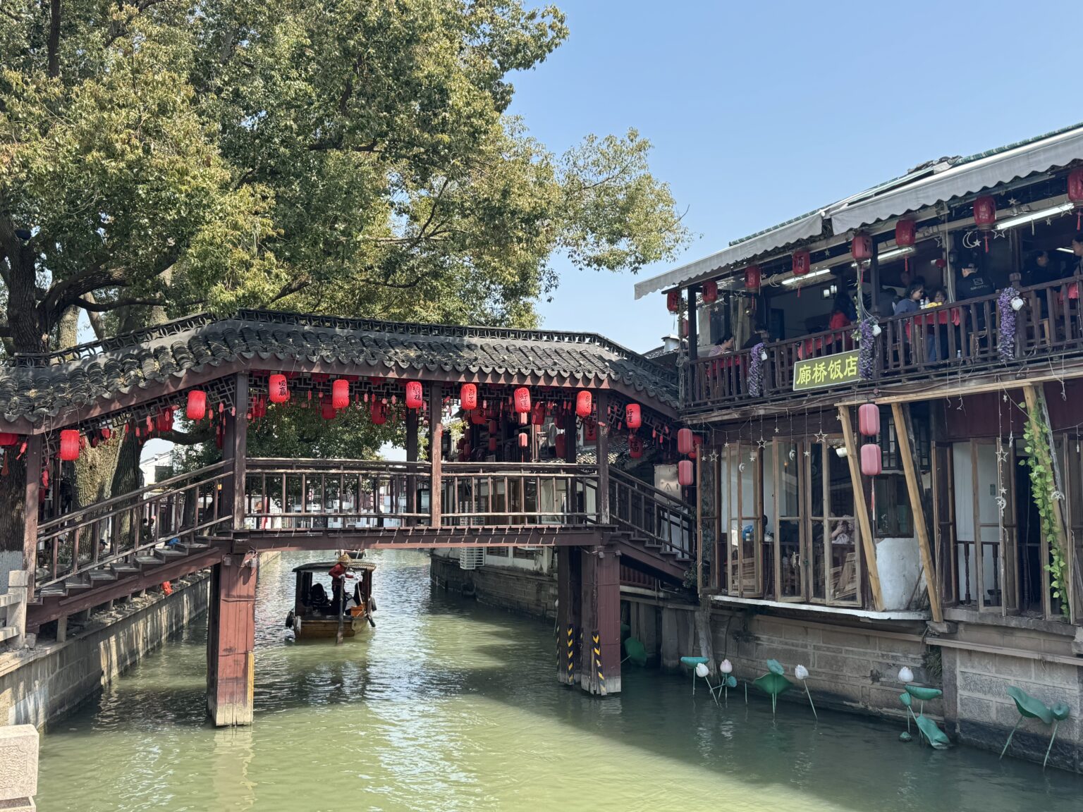 Zhu Jiajiao